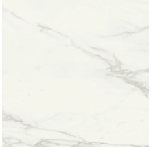 Fliese mit Marmorstruktur