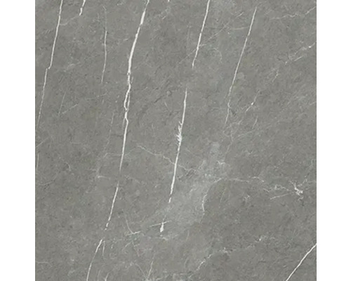 Graue Fliese mit Marmoroptik für Wand und Boden