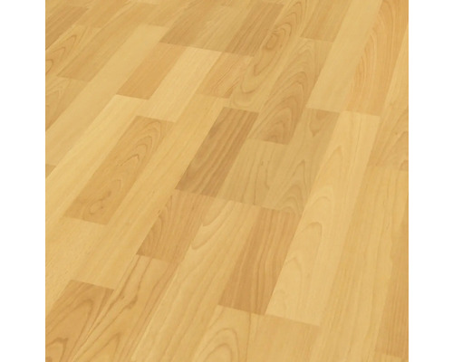 Handmuster Laminat 6.0 Basic Buche