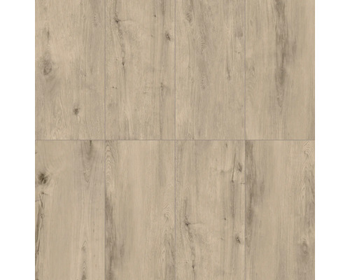 Ansicht von Laminatboden mit Holzoptik