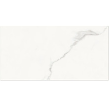 Fliese mit Marmoroptik