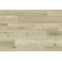 Vinylboden mit Holzoptik