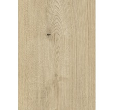 Nahaufnahme einer Holzoberfläche mit Maserung und Astloch