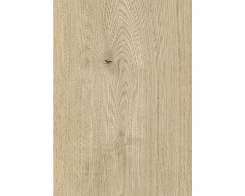 Handmuster Laminat 8.0 Ferrara Beachlin
