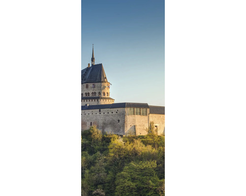 Burgruine mit Turm und umgebender Vegetation