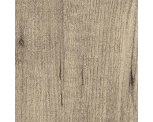 Holzstruktur Nahaufnahme