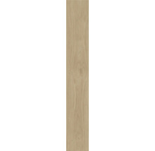 Holzpaneel mit Maserung