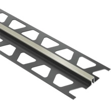 Fliesenprofil aus Kunststoff mit Metalleinsatz