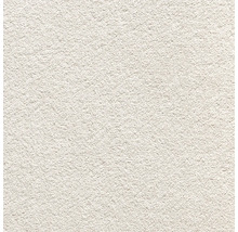 Nahaufnahme einer strukturierten Putzoberfläche