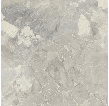 Graue Fliese mit Marmoroptik