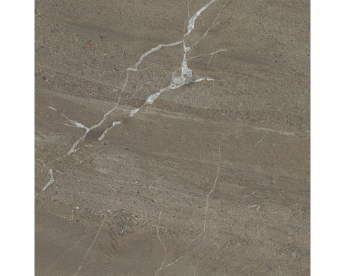 Fliese mit Marmoroptik