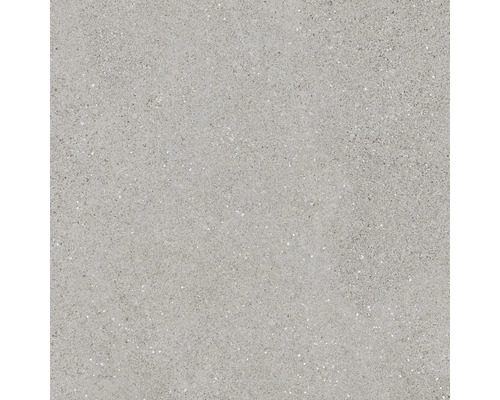 Graue Bodenfliese mit gesprenkelter Oberfläche