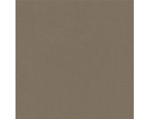 Dekorplatte in Holzoptik