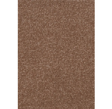 Nahaufnahme eines braunen Teppichbodens.