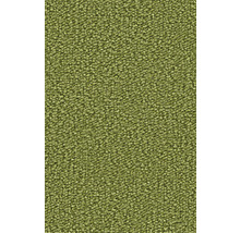 Nahaufnahme eines grünen Teppichbodens