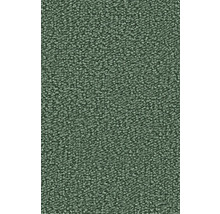 Nahaufnahme eines grünen Teppichs