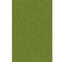 Grüner Teppichboden