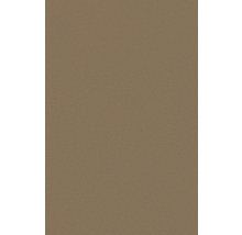 Nahaufnahme einer Putzoberfläche