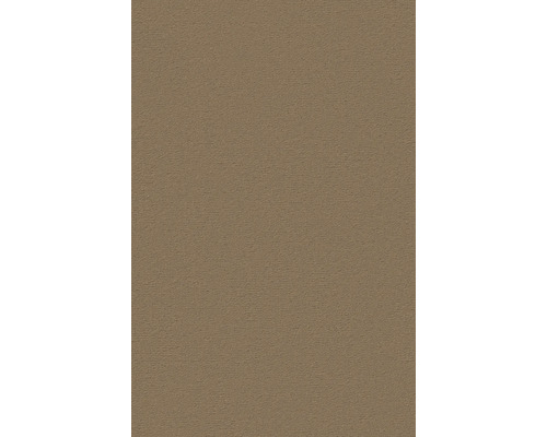 Nahaufnahme einer Putzoberfläche