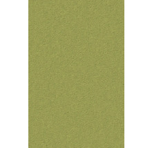 Grüne Rauhfasertapete