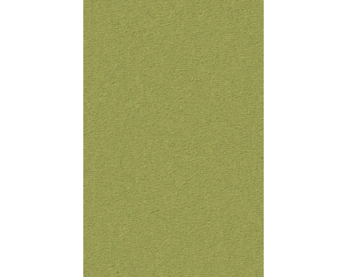 Grüne Rauhfasertapete