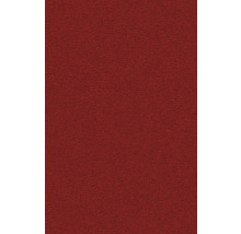 Roter Teppichboden