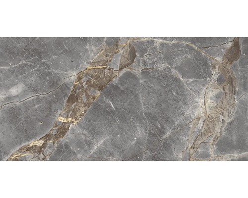 Feinsteinzeug Wand- und Bodenfliese Empero Classico grigio 60 x 120 x 0,9 cm glänzend rektifiziert Nahaufnahme einer grauen Marmorfliese mit Maserung