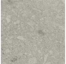 Graue Bodenfliese mit gesprenkelter Oberfläche