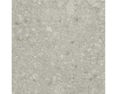 Graue Bodenfliese mit gesprenkelter Oberfläche