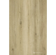 Holzdekorplatte mit natürlicher Maserung