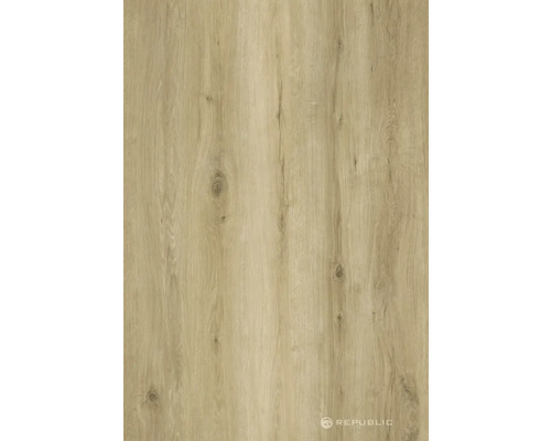 Holzdekorplatte mit natürlicher Maserung