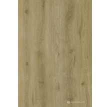 Holzdekordekorplatte mit Holzmaserung