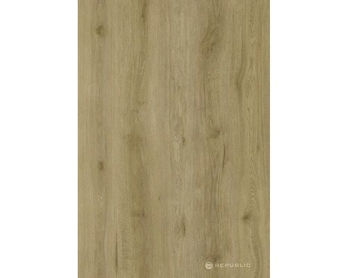 Holzdekordekorplatte mit Holzmaserung