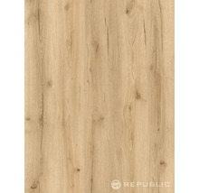 Dekorplatte mit Holzoptik