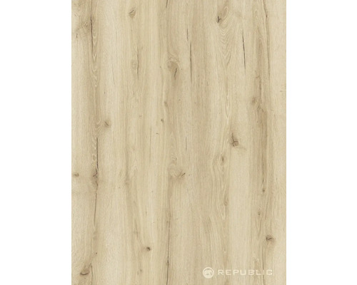 Holzdekorplatte mit natürlicher Holzmaserung