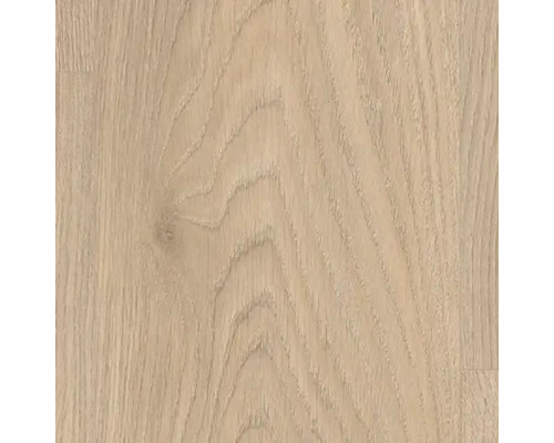 Nahaufnahme einer hellen Holzoberfläche mit Maserung