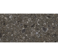 Nahaufnahme einer grauen Betonpflasterplatte mit Steineinschlüssen.