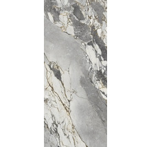 Nahaufnahme einer Marmorfliese mit grauen und weißen Adern.