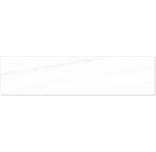 Dekorplatte für den Innenausbau