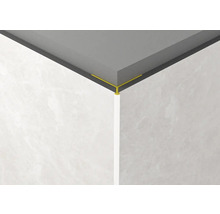 Eckansicht einer Decke mit Fliesenprofil