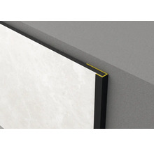 Wandfliese mit Fliesenschiene