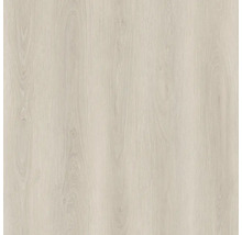 Holzdekorplatte mit Holzmaserung