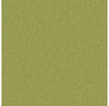 Grüne Putzstruktur als Hintergrund