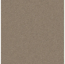 Nahaufnahme einer beigen Putzoberfläche.