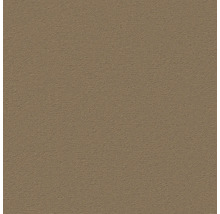 Nahaufnahme einer Putzoberfläche