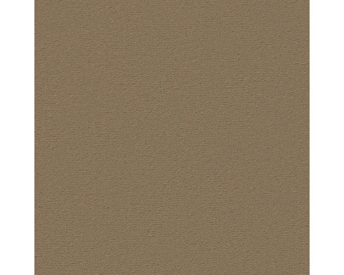 Nahaufnahme einer Putzoberfläche