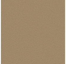 Nahaufnahme einer Putzoberfläche