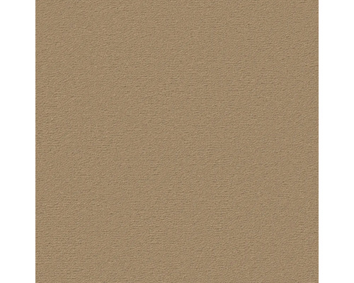 Nahaufnahme einer Putzoberfläche