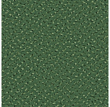 Nahaufnahme eines grünen Teppichs