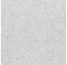 Nahaufnahme eines hellen Teppichbodens mit dichter Textur